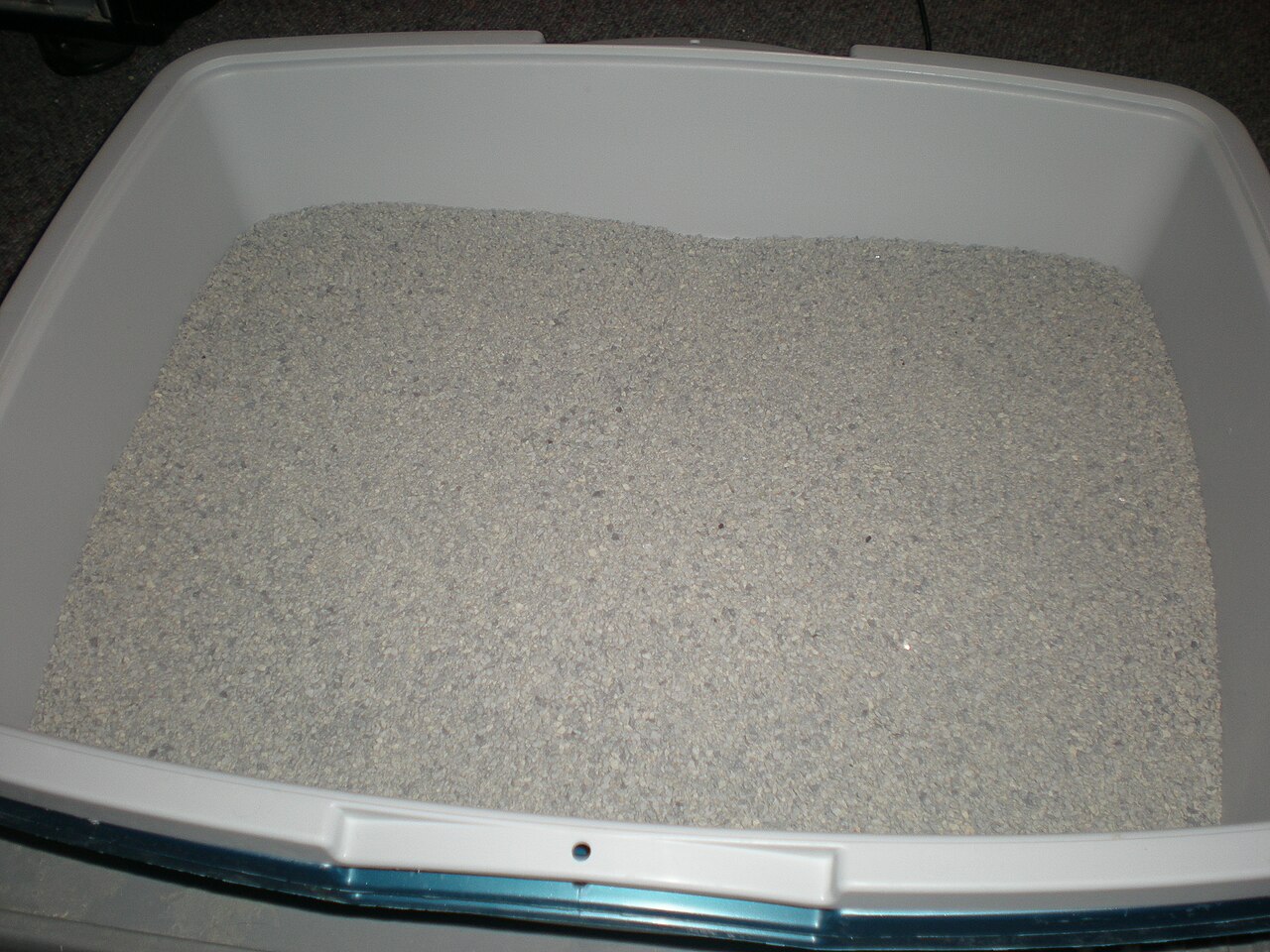 Best Cat Litter for Odor Control