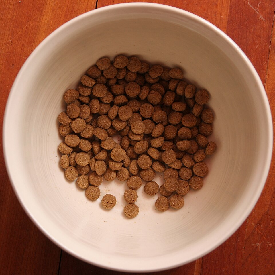 How to Choose the Right Dog Food