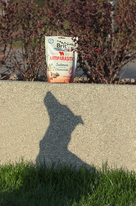 A bag of dry pet food