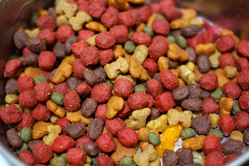 Is Raw Dog Food Safe